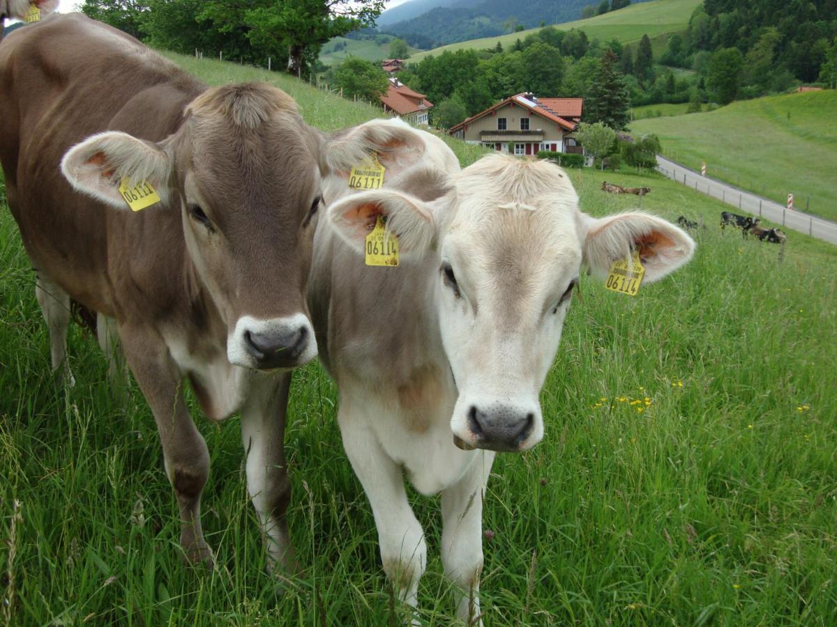 Ferienwohnungen Weixler Schindelberg Oberstaufen Exterior foto